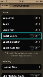 The Invert Colours option under the Vision section in Accessibility settings.