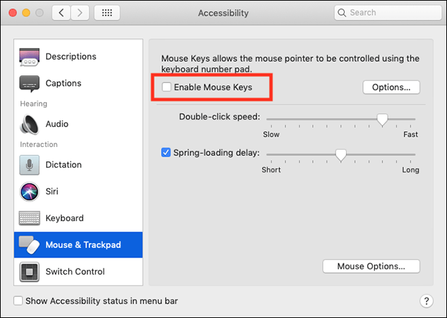 Mouse & Trackpad Accessibility options with the Enable Mouse Keys checkbox  highlighted
