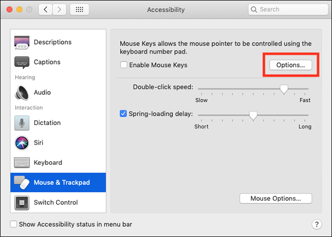 Mouse & Trackpad Accessibility options with the Options button highlighted