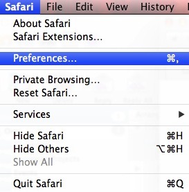 The Safari menu in the menu bar.