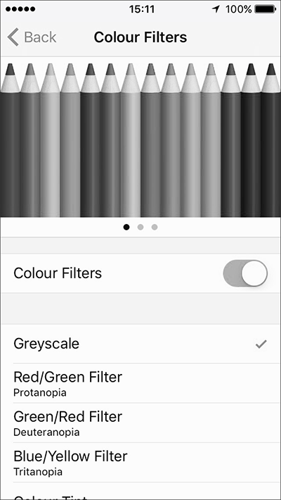 Example of the screen when Colour Filters is turned on