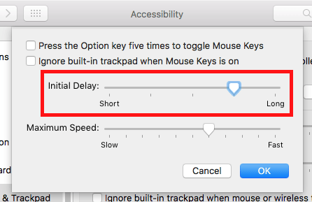 Mouse Key options window highlighting the Initial Delay slider