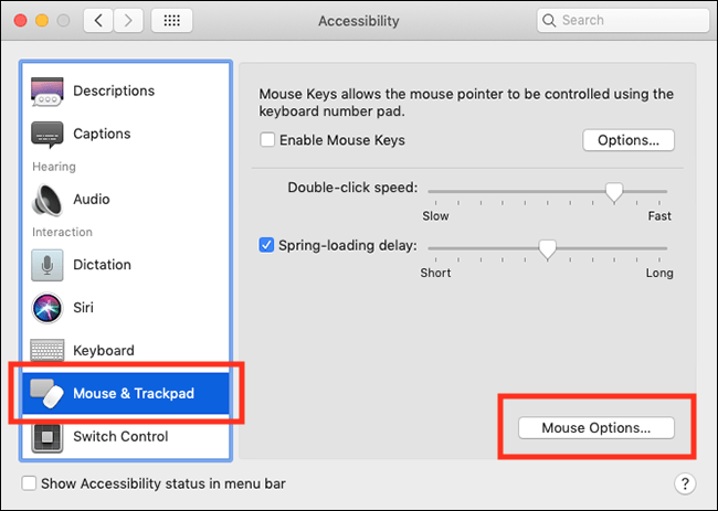 The Mouse Options button at the bottom of the right-hand side of the Mouse & Trackpad accessibility settings window.