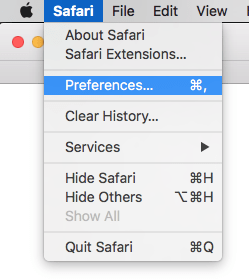Fig 2 - Safari for macOS – Making text larger