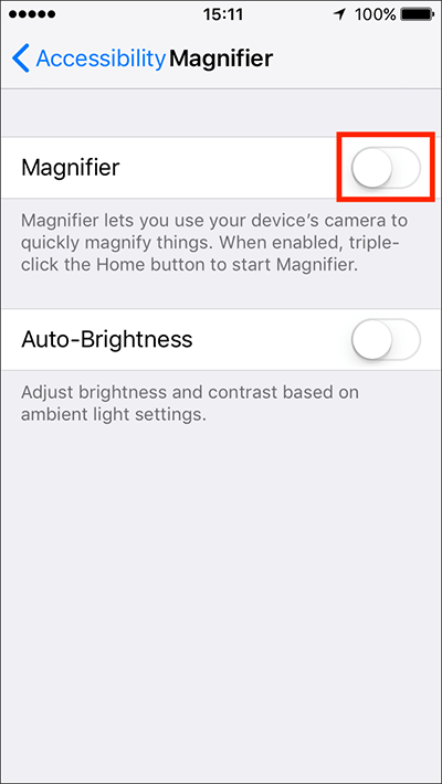 Tap the toggle switch next to Magnifier