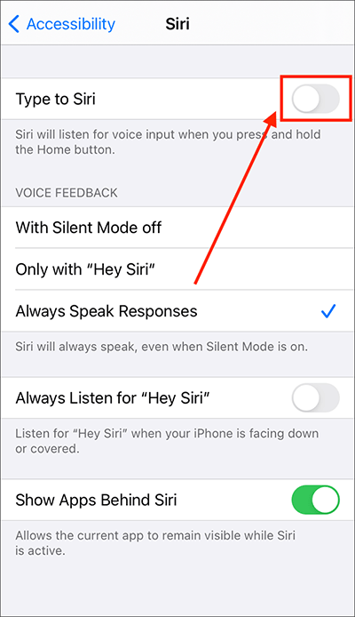 Tap the switch next to Type to Siri