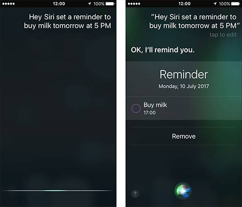 Siri – iPhone/iPad/iPod Touch iOS 12 Fig 17