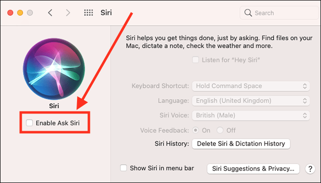how to turn on siri voice command