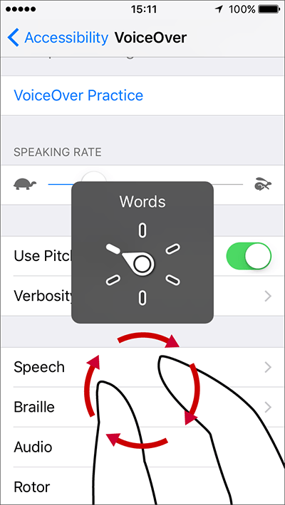 VoiceOver – iPhone/iPad/iPod Touch iOS 12 Fig 21