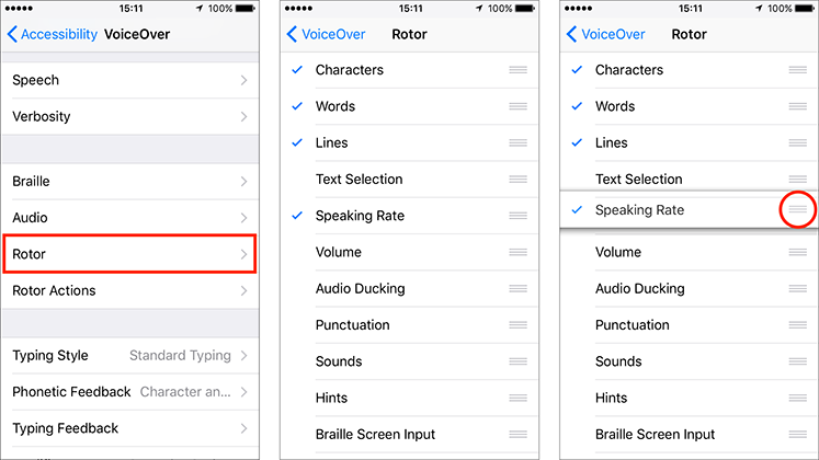 The Rotor option in VoiceOver settings.