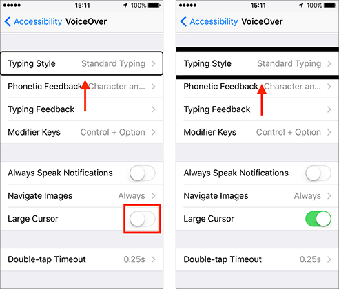 The Large Cursor option in VoiceOver settings.