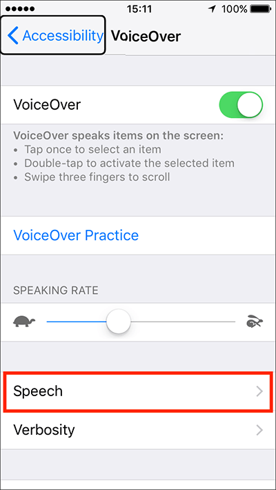 The Speech option in VoiceOver settings.