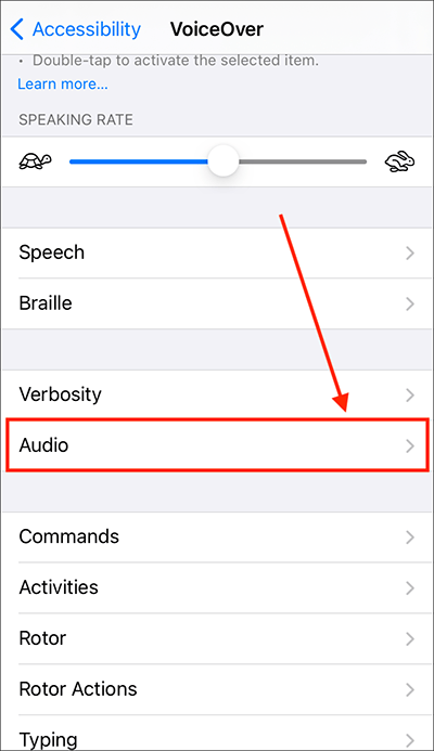 iPhone VoiceOver Function For People With Disabilities on Make a GIF