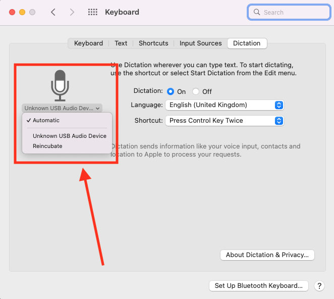 how to set up dictation on mac