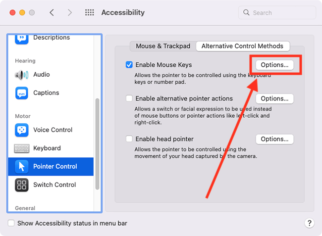 Controlling mouse pointer process