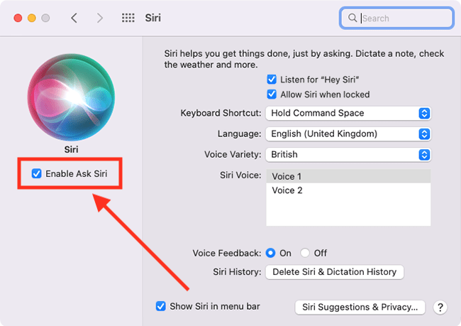 How to use Siri, the digital assistant in macOS 12 Monterey
