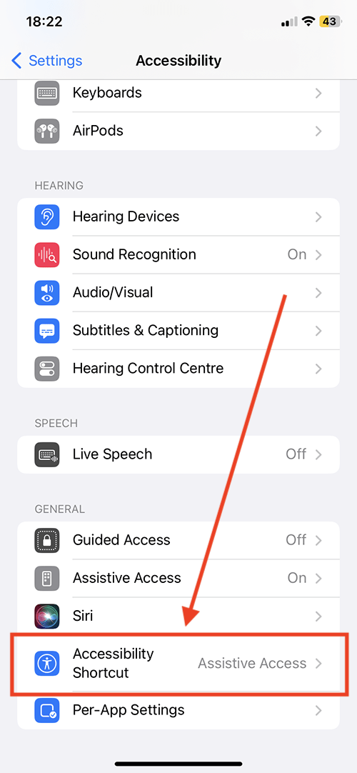 Scroll to the bottom and tap Accessibility Shortcut