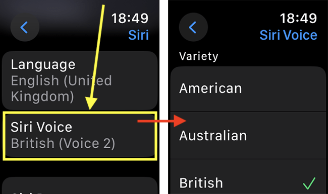 Apple watch siri outlet settings