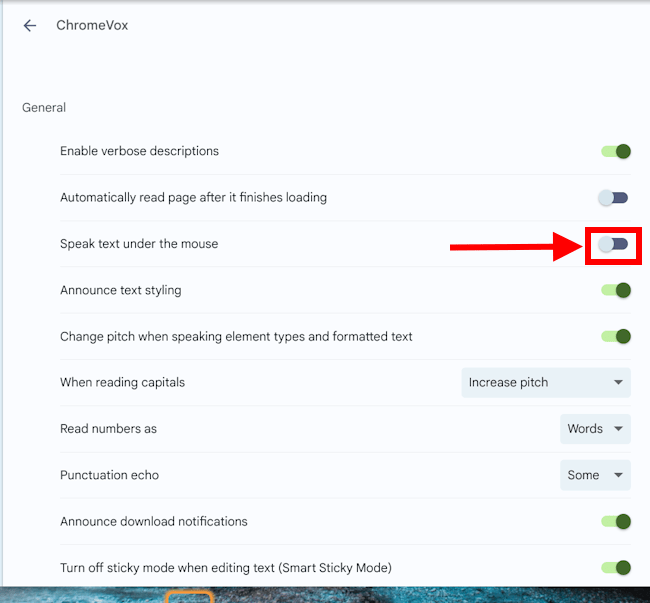 Click the toggle switch for Speak text under the mouse