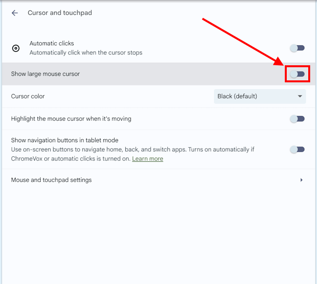 Click the toggle switch next to Show large mouse cursor